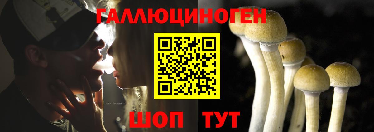 Лениногорск  Псилоцибиновые грибы Cubensis  Вход с VPN 